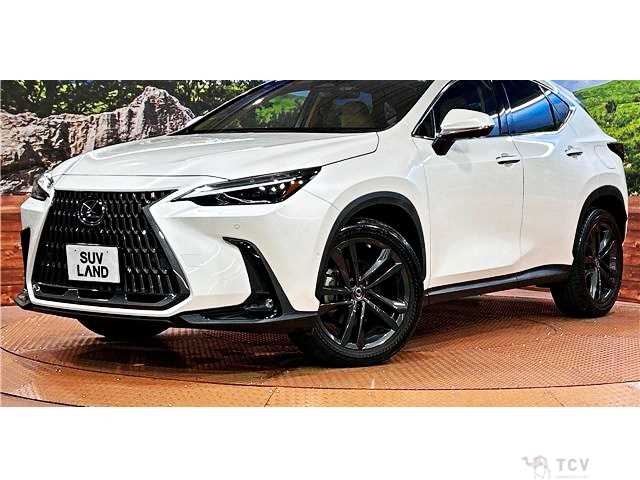 2022 Lexus NX