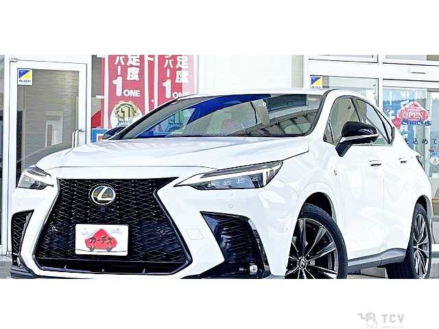 2022 Lexus NX
