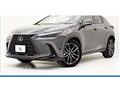 2022 Lexus NX