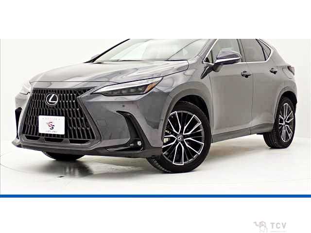 2022 Lexus NX