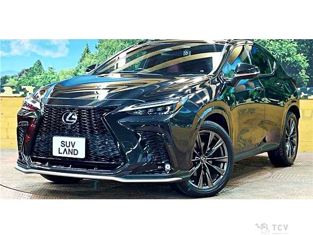 2022 Lexus NX