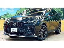 2022 Lexus NX