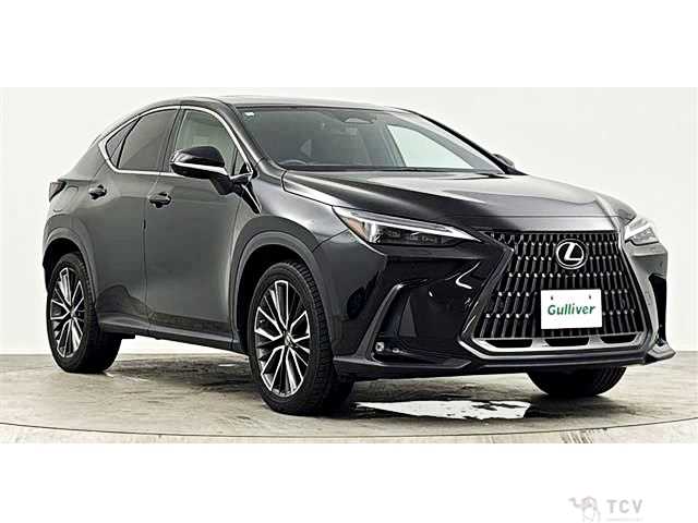 2022 Lexus NX