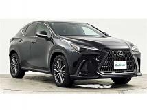 2022 Lexus NX