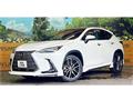 2022 Lexus NX