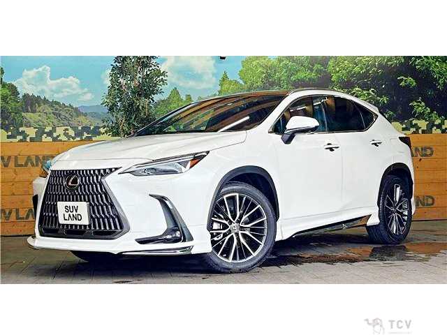 2022 Lexus NX