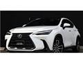 2022 Lexus NX