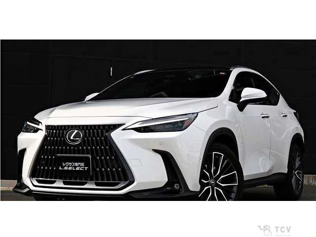 2022 Lexus NX