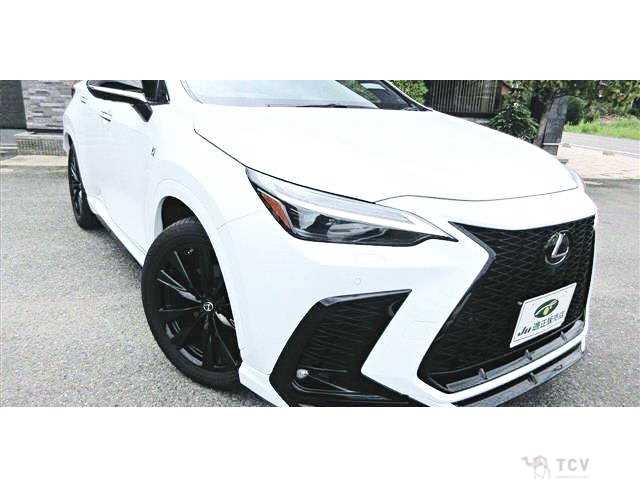 2022 Lexus NX