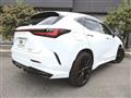 2022 Lexus NX