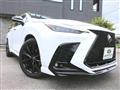 2022 Lexus NX