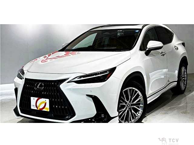 2022 Lexus NX