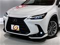 2022 Lexus NX