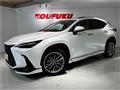 2022 Lexus NX