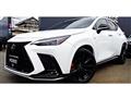 2022 Lexus NX