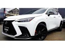2022 Lexus NX