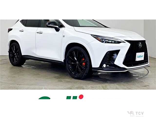 2022 Lexus NX