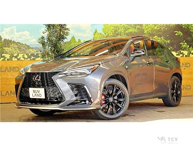 2022 Lexus NX