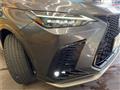 2022 Lexus NX