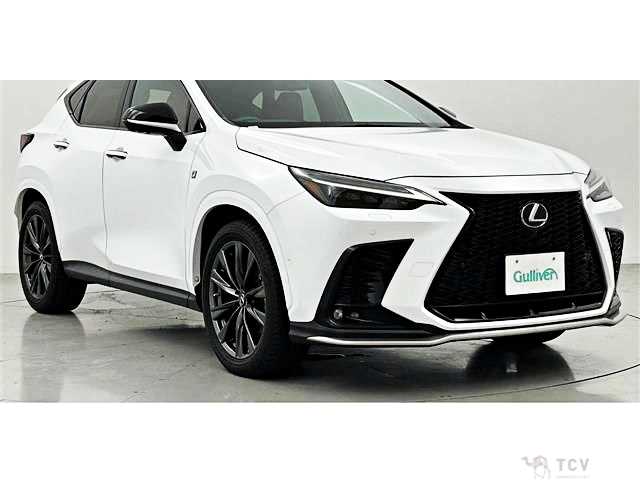 2022 Lexus NX