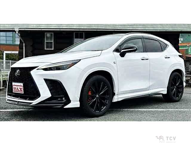2022 Lexus NX