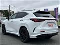 2022 Lexus NX