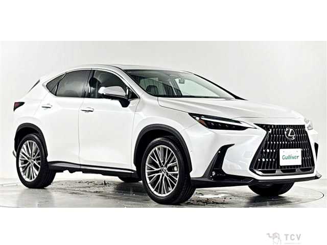 2022 Lexus NX