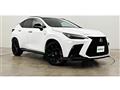 2022 Lexus NX