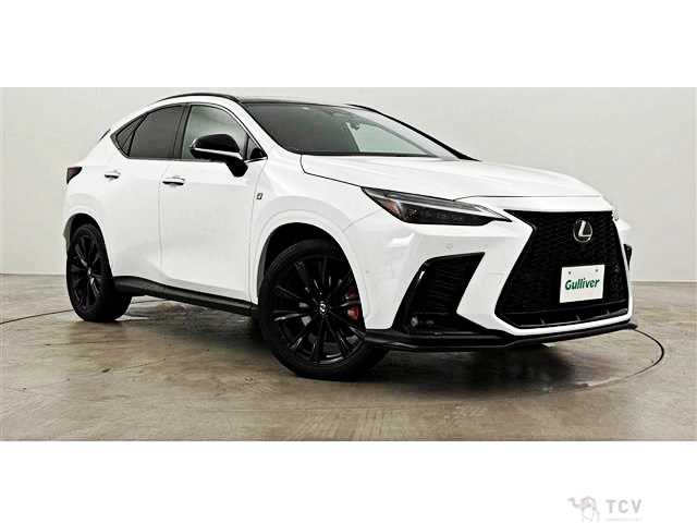 2022 Lexus NX