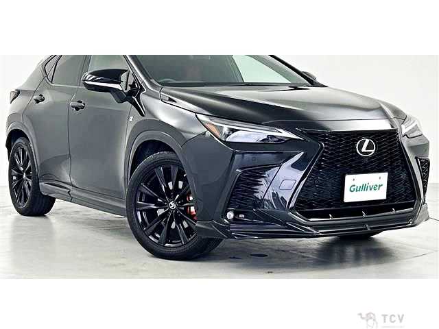 2022 Lexus NX