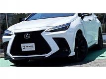 2022 Lexus NX