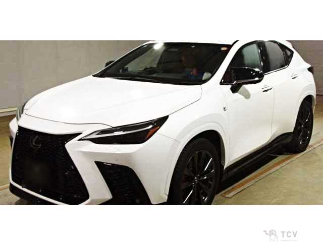 2022 Lexus NX