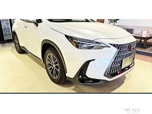 2023 Lexus NX