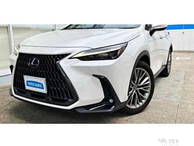 2023 Lexus NX