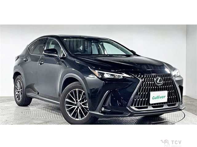 2023 Lexus NX