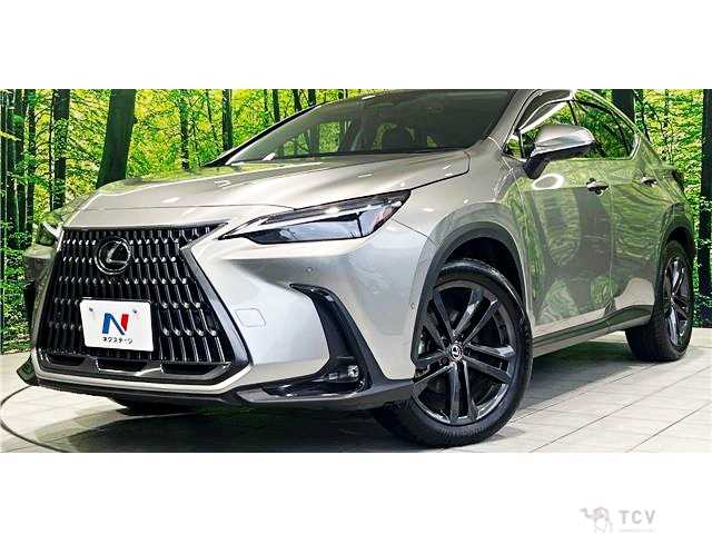 2023 Lexus NX
