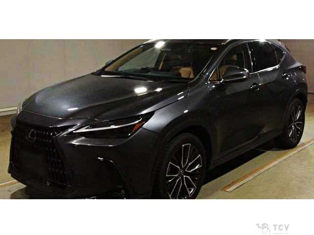 2023 Lexus NX