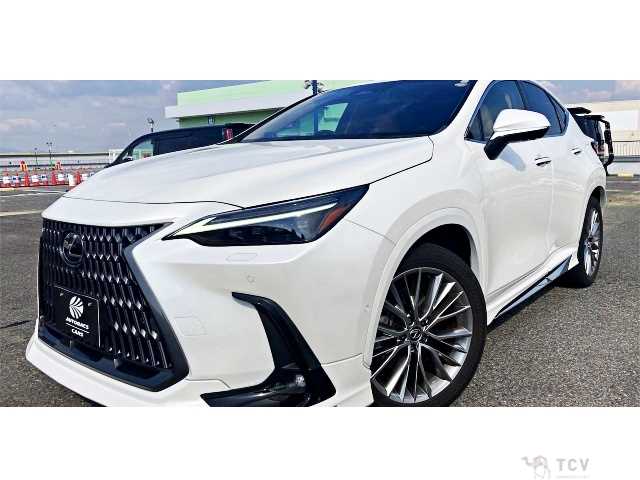 2023 Lexus NX