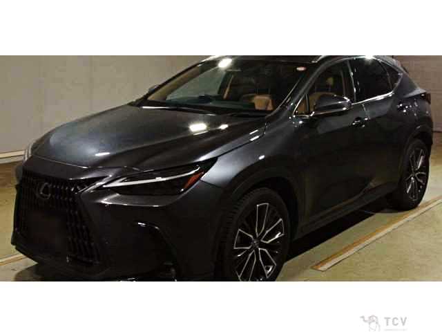 2023 Lexus NX