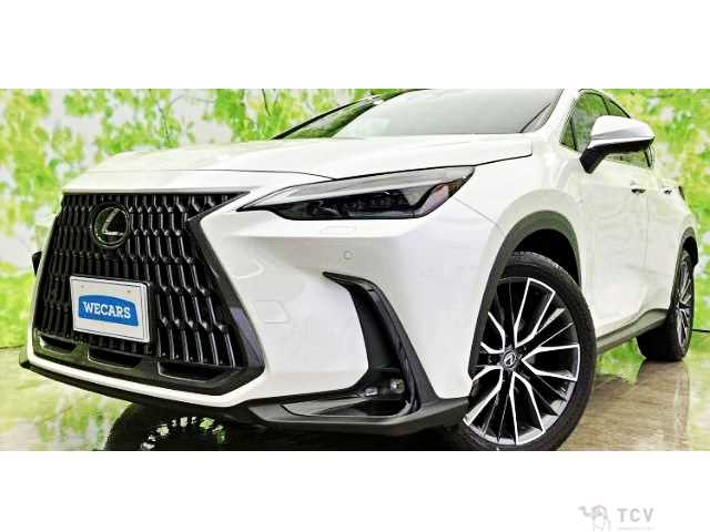 2023 Lexus NX