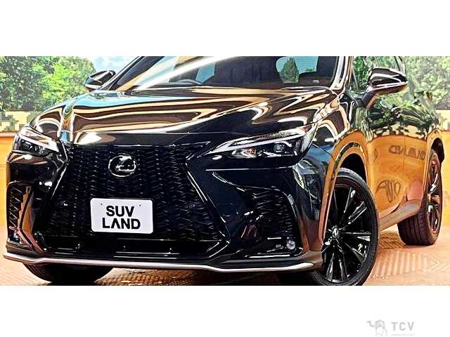 2023 Lexus NX