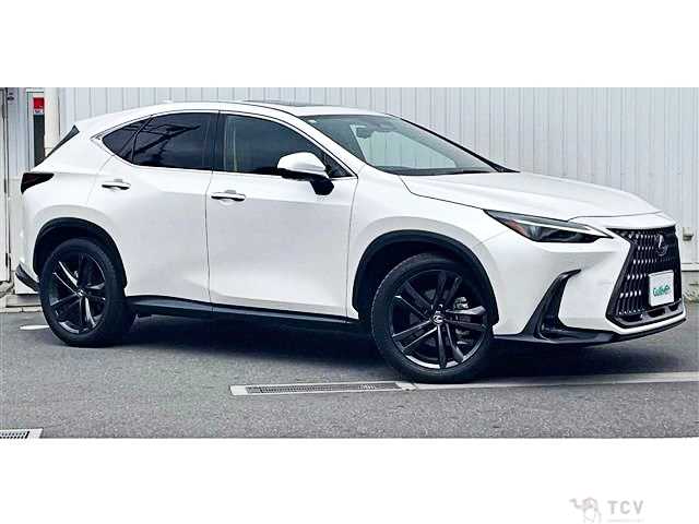 2023 Lexus NX