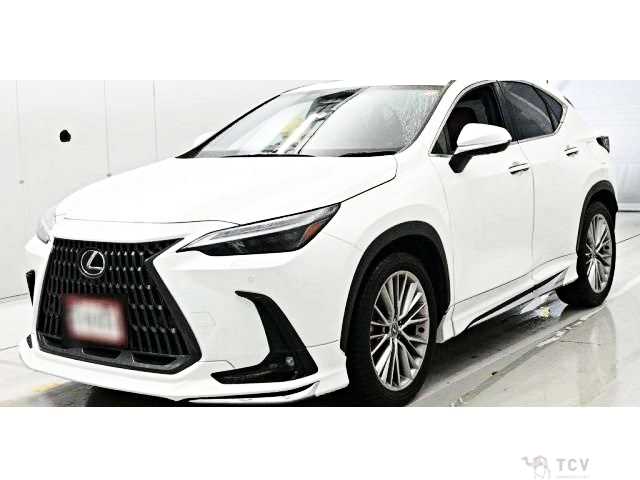 2023 Lexus NX