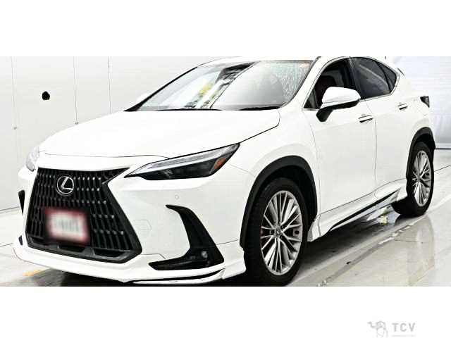 2023 Lexus NX