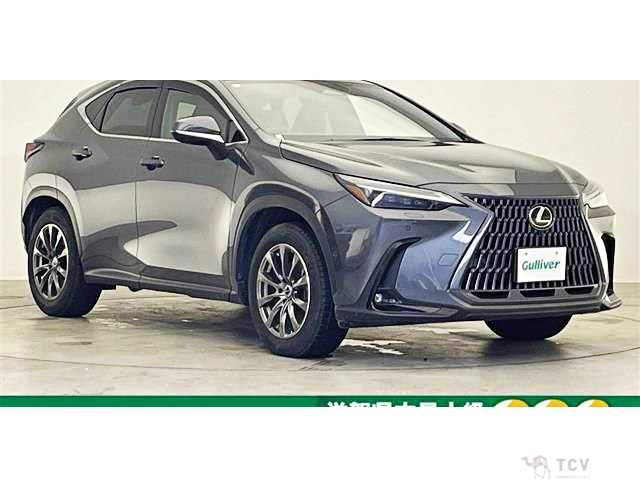 2023 Lexus NX