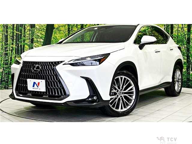 2023 Lexus NX