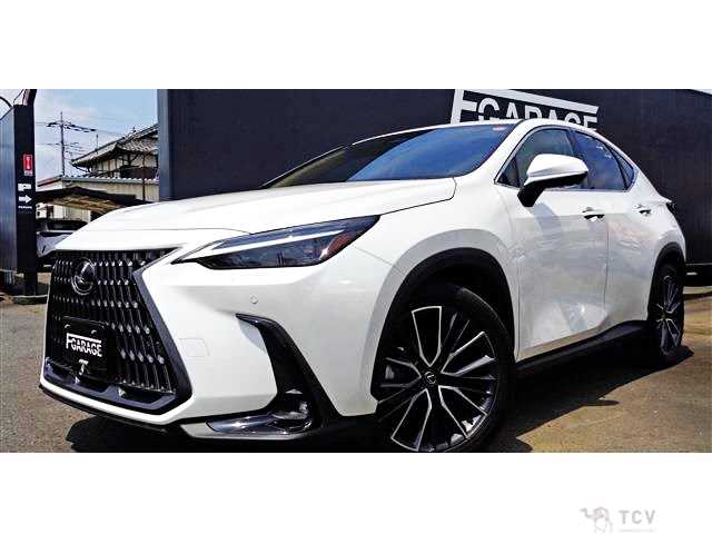 2023 Lexus NX
