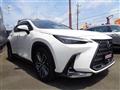 2023 Lexus NX