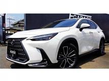 2023 Lexus NX