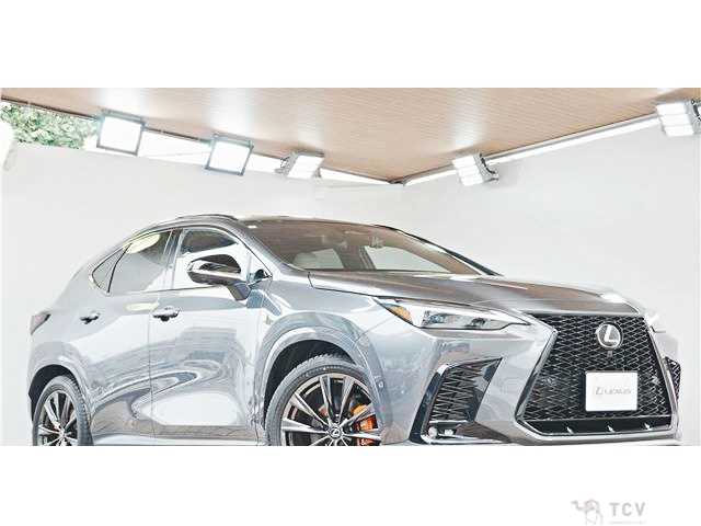2023 Lexus NX